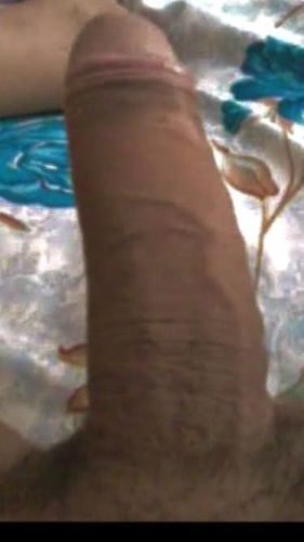 Gatas das Capital Acompanhante de Brasília 