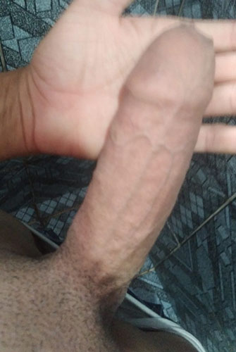 Gatas das Capital Acompanhante de Brasília 