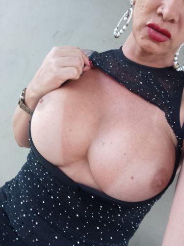 Gatas das Capital Acompanhante de Brasília 