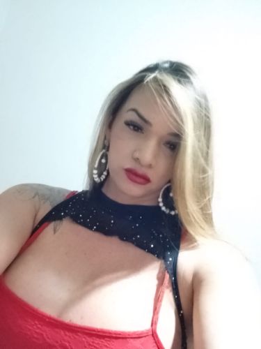 Gatas das Capital Acompanhante de Brasília 