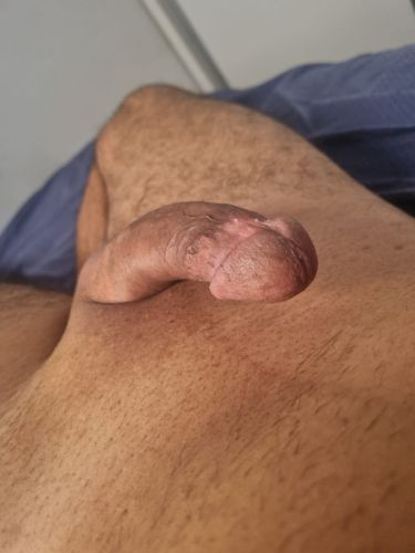 Gatas das Capital Acompanhante de Brasília 