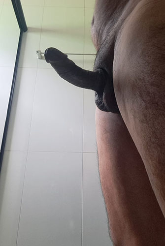 Gatas das Capital Acompanhante de Brasília 